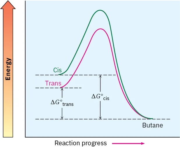 An energy diagram for the formation of butane from cis- and trans-2-butene. Cis is higher in energy than trans, and both are higher in energy than butane.