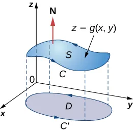 A diagram of a surface S in three dimensions, where z is a function of x and y notated as z=g(x,y). The normal N is drawn pointing up and away from the surface. D is the shadow, or projection of S in the (x,y)-plane. The curve around S is labeled C, and C’ is the projection of C in the (x,y)-plane. Arrows are drawn on C, the boundary of S, in a counterclockwise manner.