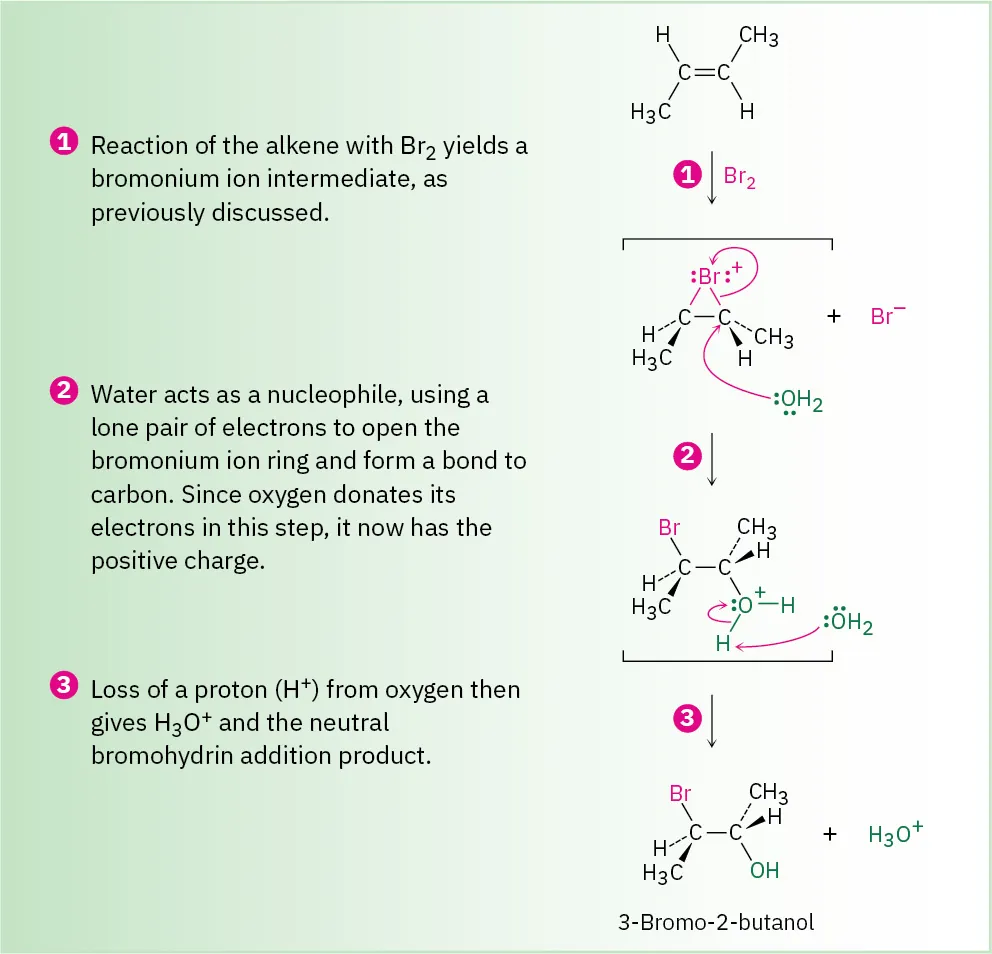 A 3-step reaction mechanism shows the formation of 3-bromo-2-butanol and hydronium ion from 2-butene and molecular bromine.