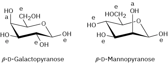 Structures of beta D-galactopyranose and beta-D-mannopyranose.  The C 4 hydroxyl group of beta galactopyranose is equatorial and  C 2 hydroxyl group of beta mannopyranose is axial. 