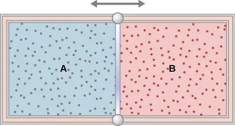 The figure is an illustration of a container with a partition in the middle dividing it into two chambers.  A double headed horizontal arrow above the partition indicates that it is moveable The outer walls are insulated. The chamber on the left is labeled with an A, and is full of one gas, indicated by blue shading and many small dots representing the gas molecules. The right chamber is labeled with a B, and is full of a second gas, indicated by red shading and many small dots representing the gas molecules.