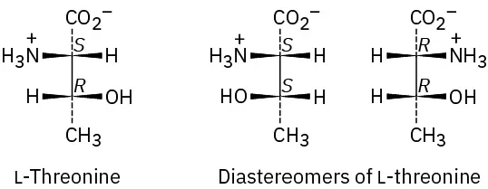Three structures of threonine. One structure is a Fischer projection of L-threonine. The other two structures represent the diastereomers of L-threonine. The configuration of each carbon atom is mentioned.