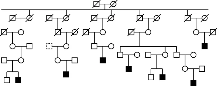The top of this image is a horizontal line connecting a square and a circle that are both dashed out. This pair has five offspring. The first offspring is a dashed circle that connects horizontally to a dashed square. From this there is a single open circle. This open circle is connected to a dashed square. This pairing tapers down to an open circle that is a connected to an open square. From here it tapers down from to an open circle. This open circle is connected to an open square. This paring tapers down to an open square and a black square. The next off spring from the original pair shows a dashed circle that is connected to a dashed square. This tapers down to a dashed square that is connected to a dashed circle. This is connected to an open circle which is then connected horizontally to a dotted square. This produces an open circle that is connected horizontally to an open square. Finally, this pair produces a black square. The next offspring is a dashed circle. It is connected horizontally to a dashed square. They have an open circle that is connected to a dashed square. They produce an open square which is then connected horizontally to an open circle. They produce a black square. The next offspring from the main pair is an dashed circle which is connected horizontally to a dashed circle. These produce an open circle which is connected horizontally to a dashed square. These two produce two open squares and an open circle. The first square is connected to an open circle and they produce a black square. The next open circle is connected to an open square and they produce an open square and a black square. Finally, the last open square is connected to an open circle, they produce an open circle which is connected horizontally to an open square. They produce a black square. Finally, the last offspring from the original pair is a dashed square, it is connected horizontally to a dashed circle. They produce an open circle, which is connected horizontally to a dashed square. They produce a black square.