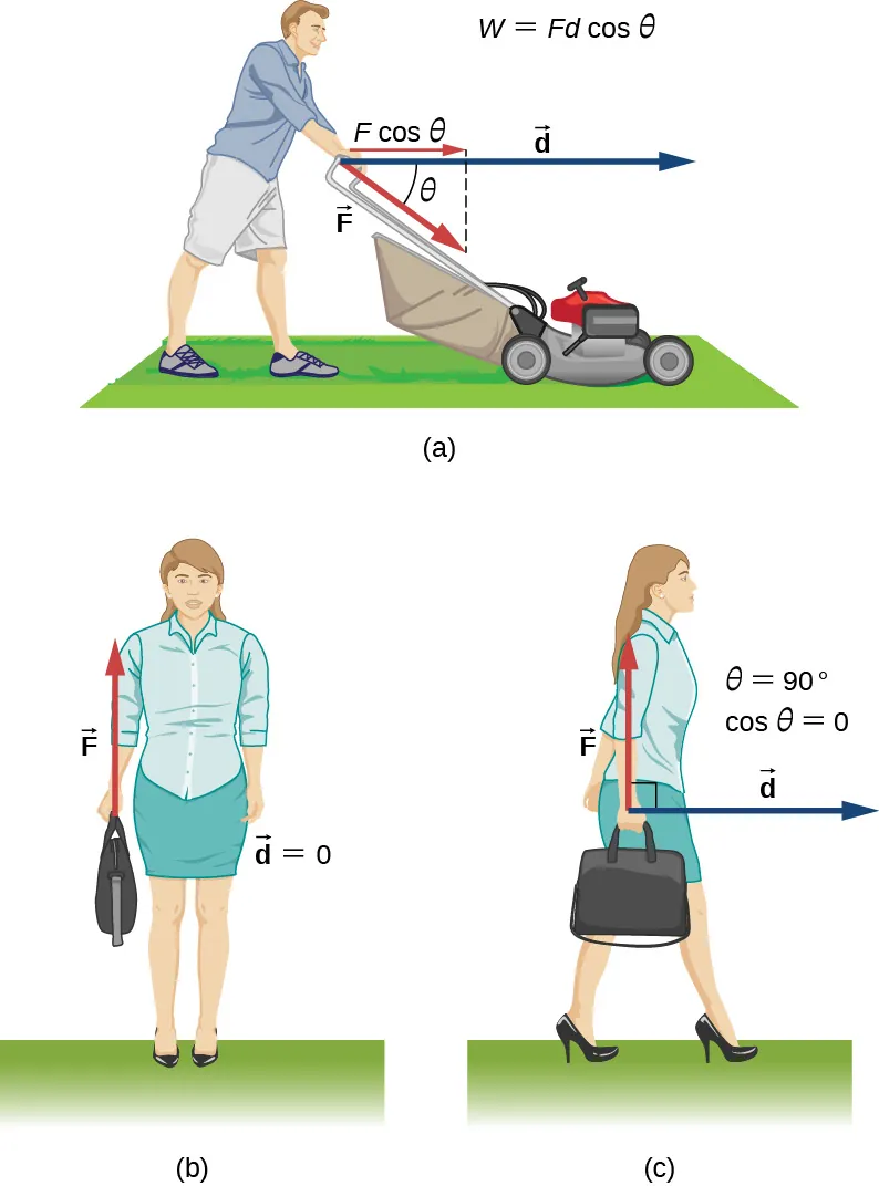 La figura a muestra a una persona que empuja un cortacésped con una fuerza constante. El desplazamiento es un vector horizontal d que apunta hacia la derecha. La fuerza F es un vector que apunta hacia abajo y hacia la derecha, a lo largo del mango del cortacésped, con un ángulo theta por debajo de la horizontal. El componente de la fuerza paralelo al desplazamiento es F coseno de theta. La ecuación W es igual a F d coseno de theta se muestra en la figura. La Figura b muestra a una persona con un maletín en la mano. La fuerza F es hacia arriba. El desplazamiento es cero. La Figura c muestra a la persona en b caminando horizontalmente mientras sostiene el maletín. La fuerza F es hacia arriba, como en b. El desplazamiento d es horizontal hacia la derecha. Theta es igual a noventa grados y el coseno de theta es igual a cero.