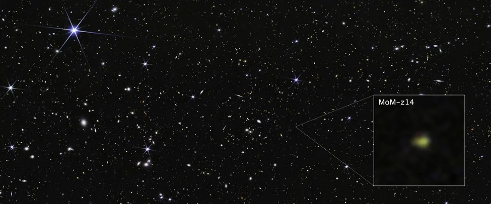 This James Webb Space Telescope image shows a luminous galaxy. The inset at bottom right, labeled “MoM-z14”, zooms in on the most distant galaxy known.