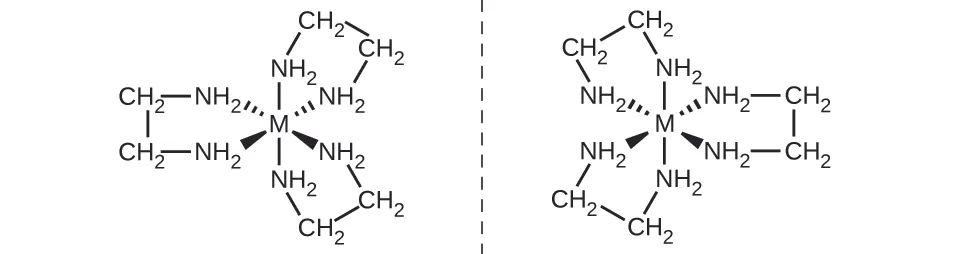 Se muestran dos estructuras con un segmento de línea discontinua vertical entre estas. La estructura a la izquierda de este segmento de línea tiene una M central que representa un átomo de metal. A este átomo se unen seis grupos N H subíndice 2 con enlaces simples. Estos enlaces se indican con segmentos de línea que se extienden por encima y por debajo, cuñas discontinuas que se extienden hacia arriba y hacia la izquierda y la derecha, y cuñas sólidas que se extienden por debajo y hacia la izquierda y la derecha. Los enlaces a estos grupos están todos dirigidos hacia los átomos de N. Los grupos N H subíndice 2 están cada uno conectados a átomos C de grupos C H subíndice 2 que se extienden hacia fuera desde el átomo M central. Estos grupos de C H subíndice 2 están conectados en pares con enlaces indicados por segmentos de línea. Esta estructura tiene el aspecto general de una flor con tres pétalos, dos de los cuales son equidistantes de la línea de puntos. Una imagen especular de esta estructura aparece a la derecha de la línea discontinua, de nuevo con dos de los "pétalos" equidistantes de la línea discontinua a su izquierda.