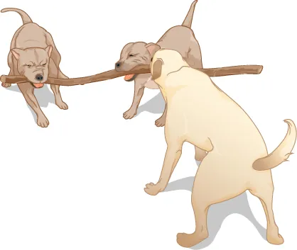 Tres perros halan de un palo.