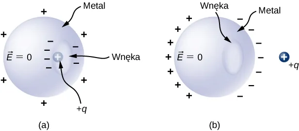 Rysunek a przedstawia metalową kulę z wnęką wewnątrz niej. Kula jest oznaczona wektorem E równym zero. Znaki plus rozmieszczone są wokół kuli. Wnęka ma dookoła znaki minus. Ładunek dodatni q znajduje się wewnątrz wnęki. Rysunek b pokazuje tę samą metalową kulę z wnęką. Kula oznaczona jest wektorem E równym zero. We wnęce nie ma ładunków. Ładunek dodatni plus q znajduje się poza kulą. Kula po stronie ładunku q ma znaki minus. Strona przeciwna ma znaki plus. 