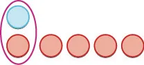 A blue circle and a red circle are grouped within a purple oval, while five additional red circles are arranged in a horizontal line next to the group.