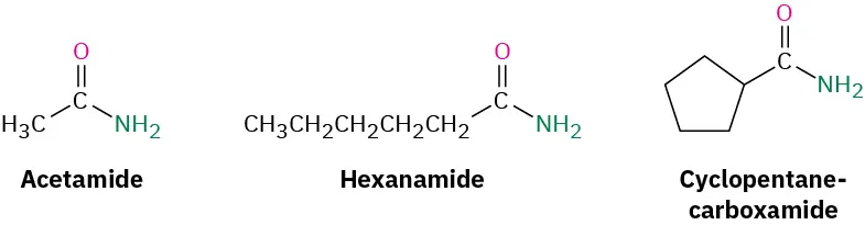 The structures of three amides. The first is acetamide, the second is hexanamide, and the third is cyclopentane carboxamide.