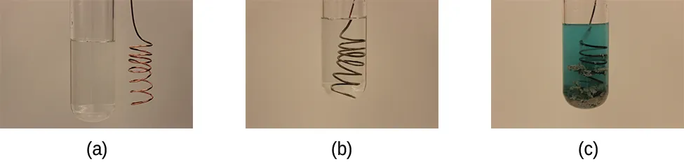Esta figura contiene tres fotografías. En la a, se muestra un cable de cobre enrollado junto a un tubo de ensayo lleno de un líquido claro e incoloro. En la b, el alambre se ha introducido en el tubo de ensayo con el líquido claro e incoloro. En la c, el tubo de ensayo contiene un líquido azul claro y el cable en espiral parece tener un recubrimiento gris plateado difuso.