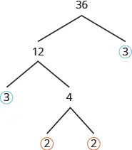 The figure shows a factor tree with the number 36 at the top. Two branches are splitting out from under 36. The right branch has a number 3 at the end with a circle around it. The left branch has the number 12 at the end. Two more branches are splitting out from under 12. The right branch has the number 4 at the end and the left branch has the number 3 at the end with a circle around it. Two more branches are splitting out from under 4. Both the left and right branch have the number 2 at the end with a circle around it.