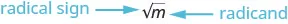 The image shows the variable m inside a square root symbol. The symbol is a line that goes up along the left side and then flat above the variable. The symbol is labeled “radical sign”. The variable m is labeled “radicand”.