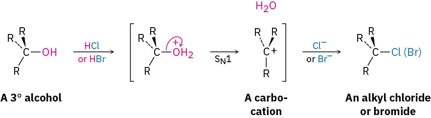 Tertiary alcohol is protonated by hydrogen chloride or hydrogen bromide, water leaves forming carbocation (S N 1 mechanism), which reacts with halide to form an alkyl chloride or bromide.