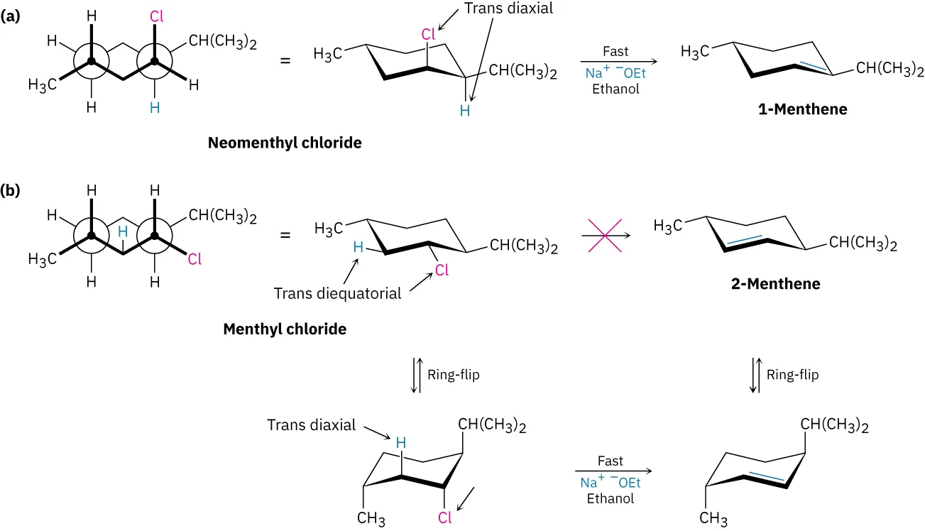 Neomenthyl chloride undergoes a fast reaction in presence of sodium ethoxide and ethanol, forming 1-menthene. In second reaction, menthyl chloride undergoes ring-flip and fast reaction to yield 2-menthene.