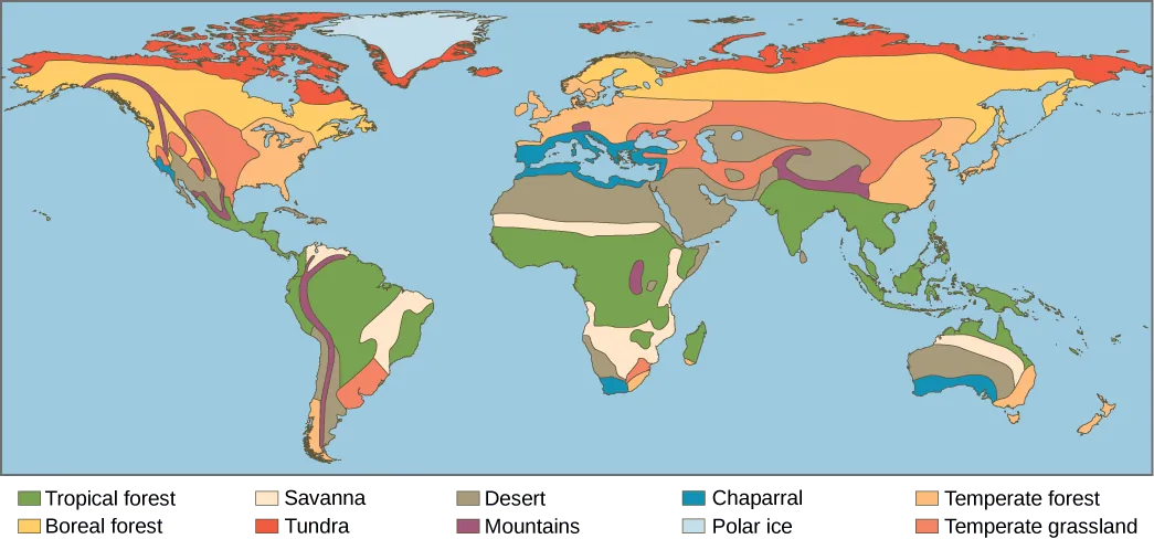 This world map shows the eight major biomes, polar ice, and mountains. Tropical forests, deserts and savannas are found primarily in South America, Africa, and Australia. Tropical forests also dominate Southeast Asia. Deserts dominate the Middle East and are found in the southwestern United States. Chaparral is found all around the Mediterranean Sea, in southern Australia, on the southern tip of Africa, and in California in southwestern North America. Temperate forests dominate the eastern United States, Europe, and Eastern Asia. Temperate grasslands dominate the midwestern United States and parts of Asia, and are also found in South America. The boreal forest is found in northern Canada, Europe, and Asia, and tundra exists to the north of the boreal forest in each of these regions. Mountainous regions run the length of North and South America, and are found in northern India, Africa, and parts of Europe. Polar ice covers Greenland.