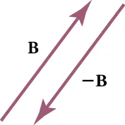 Two vectors are shown. Vector B points upward at an angle. Vector negative B is parallel to vector B and points downward.
