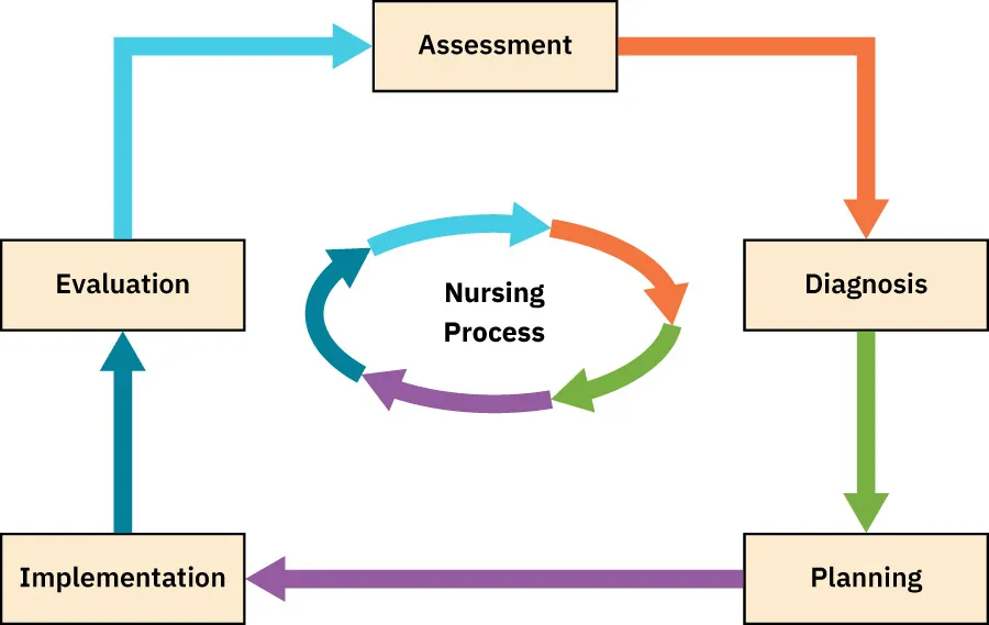 Diagram showing ADPIE nursing process: Assessment, Diagnosis, Planning, Implementation, Evaluation.