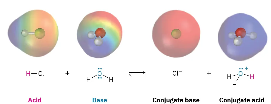 Structures, ball-and-stick models, and electron density maps for hydrochloric acid, water (labeled base), chloride (labeled conjugate base), and hydronium (labeled conjugate acid).